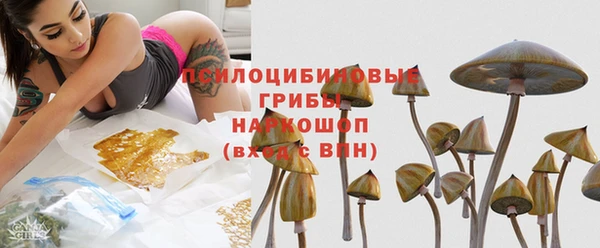 стаф Нея