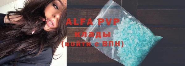 стаф Нея