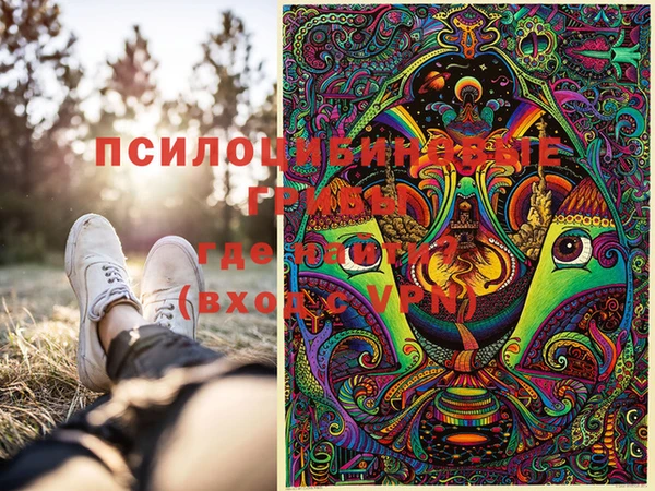 стаф Нея
