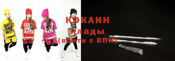 стаф Нея