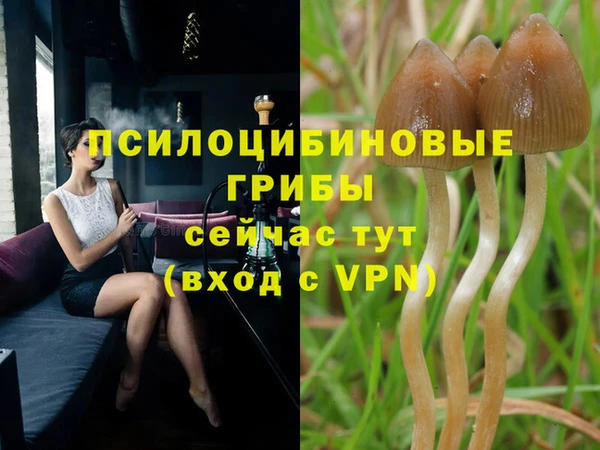 стаф Нея