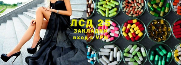 стаф Нея