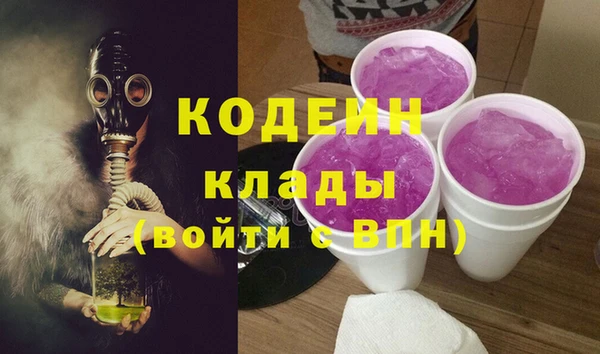 стаф Нея