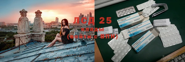 стаф Нея