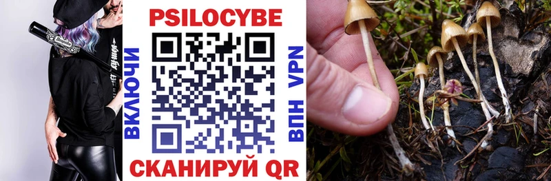 Псилоцибиновые грибы Magic Shrooms  blacksprut ссылка  Питкяранта 